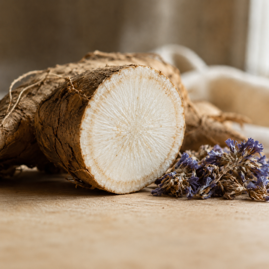 Chicory Root Inulin